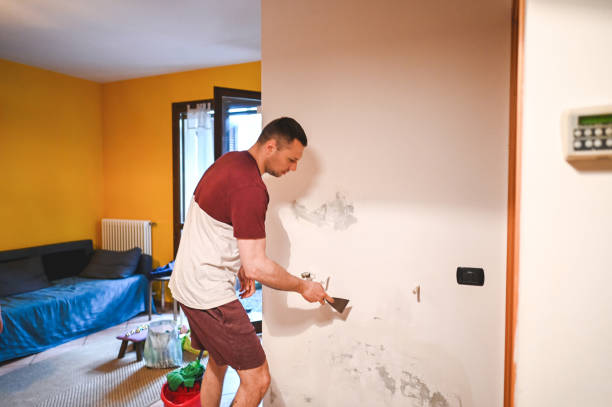 Best Home Mold Removal  in El Campo, TX