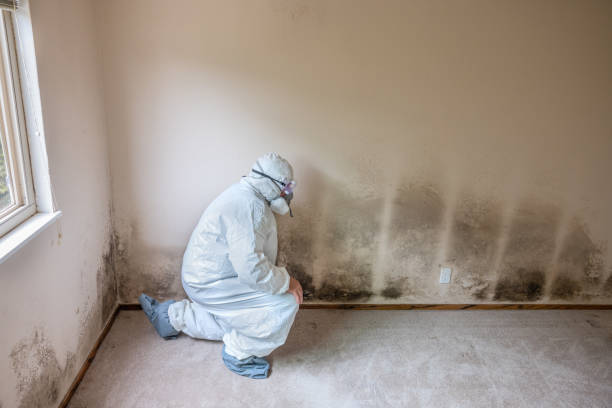 Best Crawl Space Mold Removal  in El Campo, TX